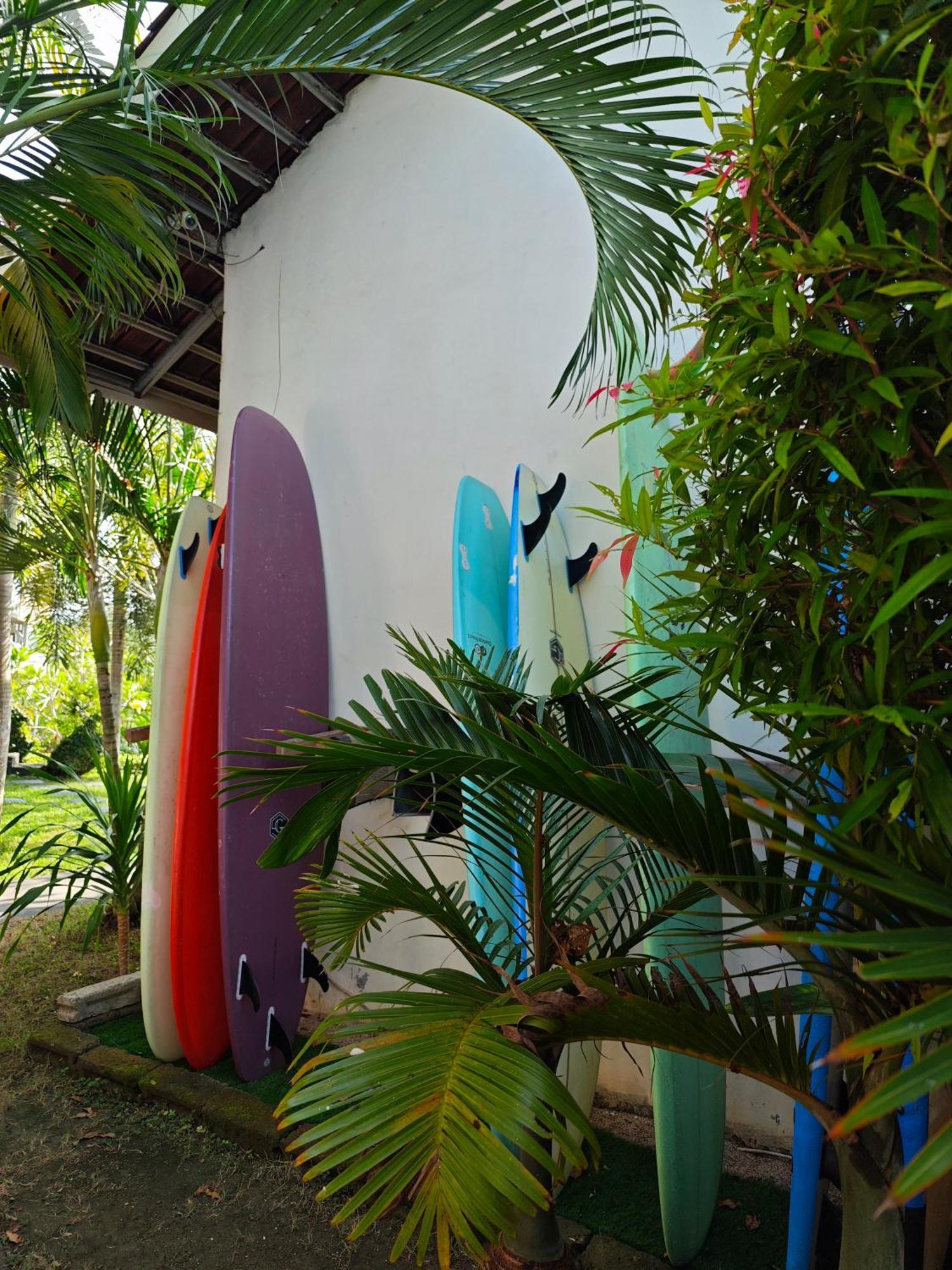 Hotel Surf Camp 79 Kuta  Esterno foto